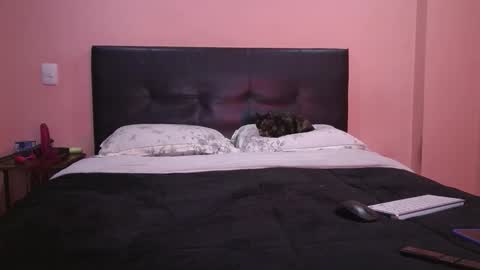 Snapshot of vamp_noah chatting on 11, 2, 2026 Vamp Noah and Dan online show from 11, 2, 2026