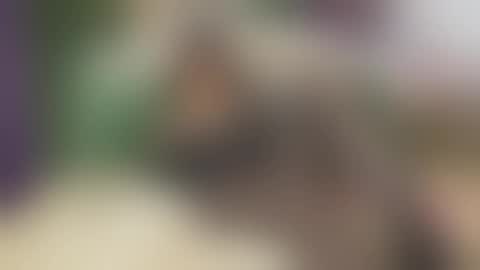 Vanessa online show from 25, 9, 2025