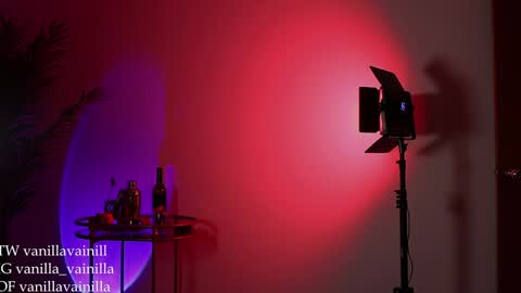 Snapshot of vanilla_velvet chatting on 30, 12, 2024 Annabet online show from 30, 12, 2024