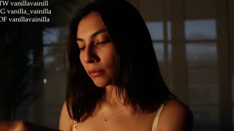 Snapshot of vanilla_velvet chatting on 30, 1, 2025 Annabet online show from 30, 1, 2025