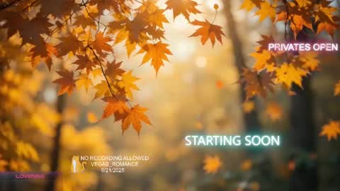 vegas_romance online show from 21, 9, 2025