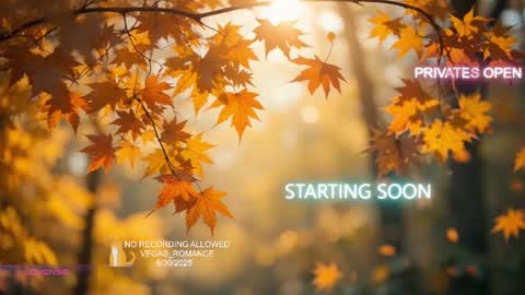 vegas_romance online show from 1, 10, 2025