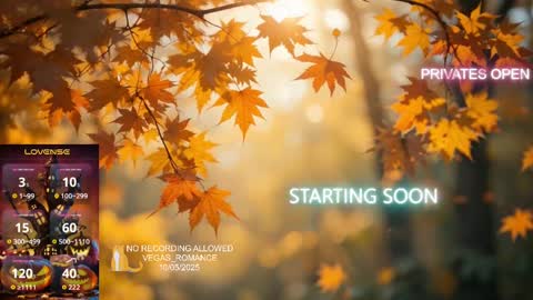 vegas_romance online show from 6, 10, 2025