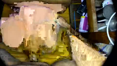 Snapshot of vegujo chatting on 7, 2, 2025 vegujo online show from 7, 2, 2025