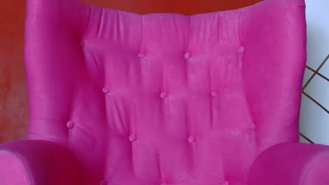 badgaleli online show from 21, 3, 2026