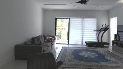 Snapshot of velvettgirl chatting on 21, 2, 2026 VelvetTGirl online show from 21, 2, 2026