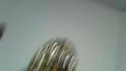 venom_kisses5050 online show from 16, 3, 2026