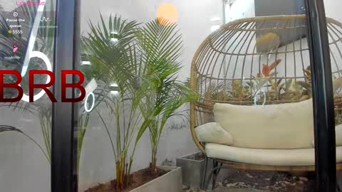 VENUS online show from 1, 2, 2026