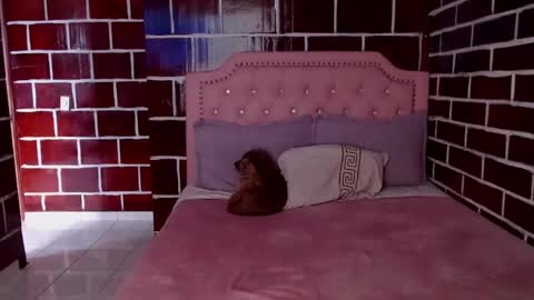 emily independent account  MY conextion 1100 GTM  to  17hr GTM online show from 8, 3, 2025