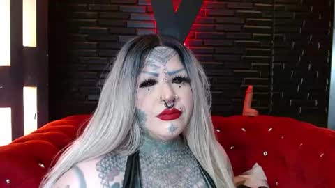 Venus Ink online show from 22, 6, 2026