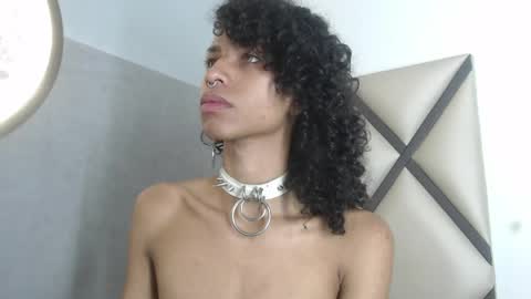 venuss_03 online show from 2, 5, 2026