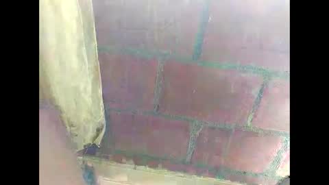 ver_gonblack online show from 22, 12, 2024