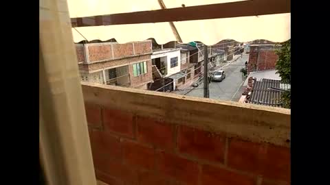 ver_gonblack online show from 20, 1, 2025