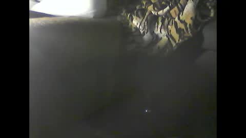 Snapshot of verdogan chatting on 20, 12, 2024 Im DanielVerdo 25 years old Lets have Fun and just ask what wanne know tnew anal bigock cum slave fullnaked online show from 20, 12, 2024