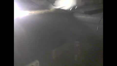 Snapshot of verdogan chatting on 9, 1, 2025 Im DanielVerdo 25 years old Lets have Fun and just ask what wanne know tnew anal bigock cum slave fullnaked online show from 9, 1, 2025