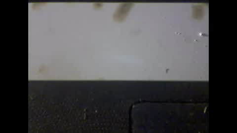 Snapshot of verdogan chatting on 1, 3, 2025 Im DanielVerdo 25 years old Lets have Fun and just ask what wanne know tnew anal bigock cum slave fullnaked online show from 1, 3, 2025