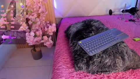 veronica_hill_ online show from 3, 6, 2026