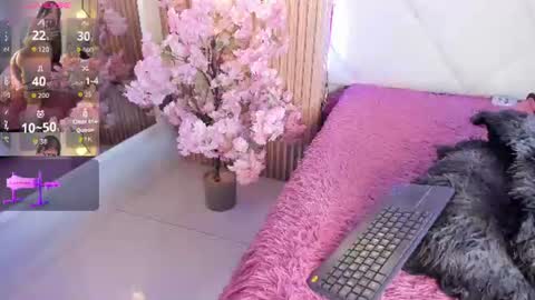 Snapshot of veronica_hill_ chatting on 24, 6, 2026 veronica_hill_ online show from 24, 6, 2026