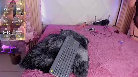 Snapshot of veronica_hill_ chatting on 2, 7, 2026 veronica_hill_ online show from 2, 7, 2026