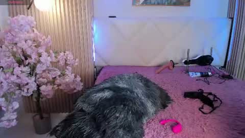 Snapshot of veronica_hill_ chatting on 29, 7, 2026 veronica_hill_ online show from 29, 7, 2026