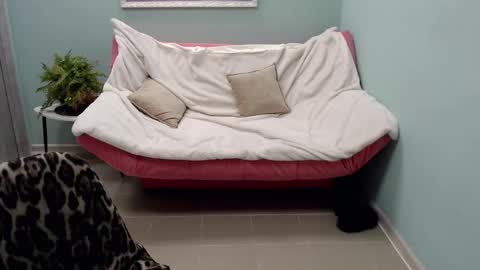 Snapshot of veronicagilbert chatting on 12, 3, 2025 Helen online show from 12, 3, 2025