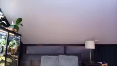 Snapshot of vevelicious chatting on 2, 5, 2026 vevelicious online show from 2, 5, 2026