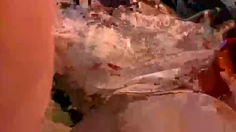 Snapshot of vibewild chatting on 23, 10, 2025 nova online show from 23, 10, 2025