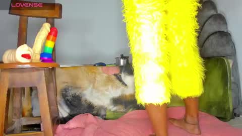 Snapshot of vicky_hotteei chatting on 25, 6, 2026 vicky manuela online show from 25, 6, 2026