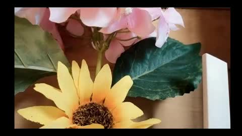 vickyvalencia2 online show from 4, 5, 2026