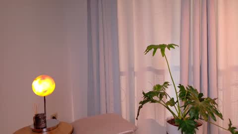 VictoriaNova online show from 14, 7, 2026