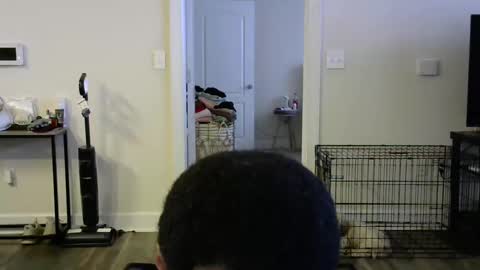 Snapshot of victoryd007 chatting on 16, 1, 2025 victoryd007 online show from 16, 1, 2025