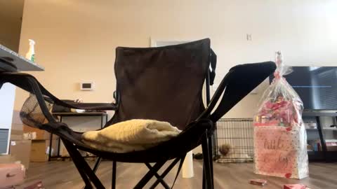 Snapshot of victoryd007 chatting on 22, 2, 2025 victoryd007 online show from 22, 2, 2025