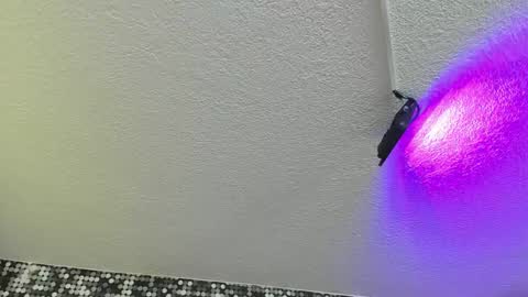 Viiolett online show from 17, 9, 2025