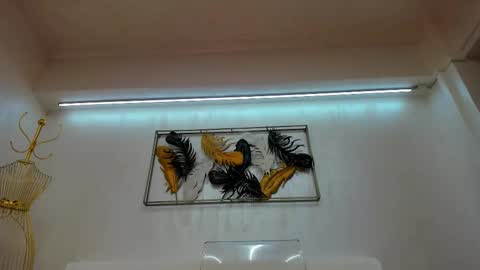 vikafever online show from 10, 11, 2025