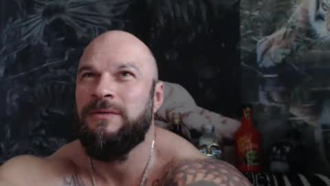 viking online show from 2, 5, 2026