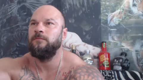 Snapshot of viking_me chatting on 24, 6, 2026 viking online show from 24, 6, 2026