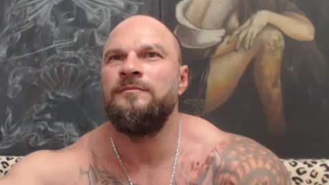 Snapshot of viking_me chatting on 24, 6, 2026 viking online show from 24, 6, 2026