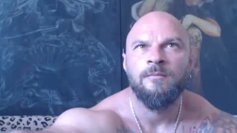Snapshot of viking_me chatting on 28, 6, 2026 viking online show from 28, 6, 2026