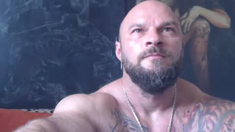Snapshot of viking_me chatting on 3, 7, 2026 viking online show from 3, 7, 2026