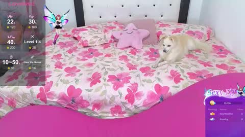 Violeta online show from 3, 2, 2026