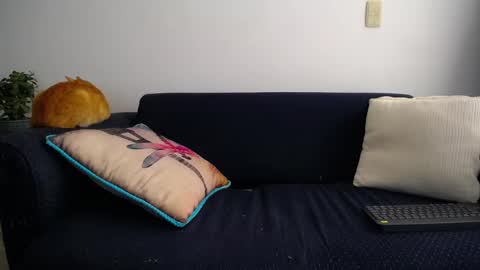 Violeta Gmez online show from 11, 3, 2025