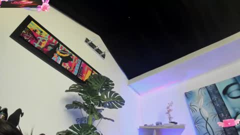 violetparkker online show from 12, 3, 2025