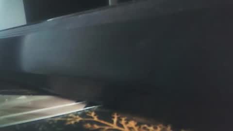 Snapshot of vip_90_daniele chatting on 17, 12, 2025 vip_90_daniele online show from 17, 12, 2025