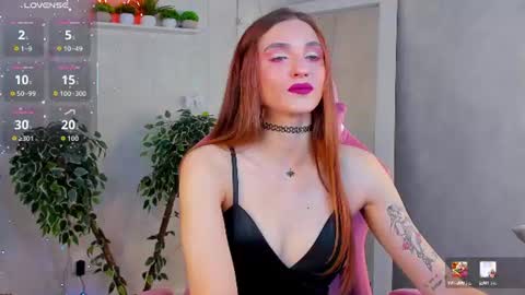 Virdjinia online show from 26, 7, 2026