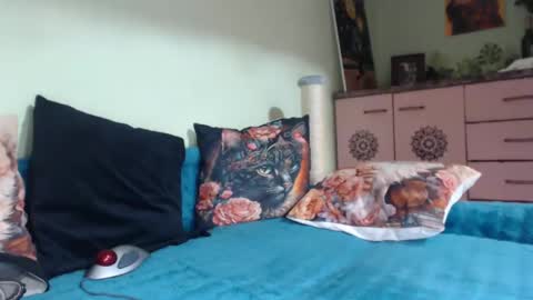 Viva online show from 11, 3, 2025