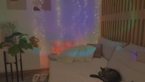 Sofia online show from 8, 2, 2026