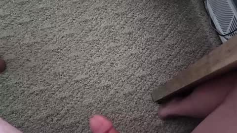 vtxrider77 online show from 1, 10, 2025