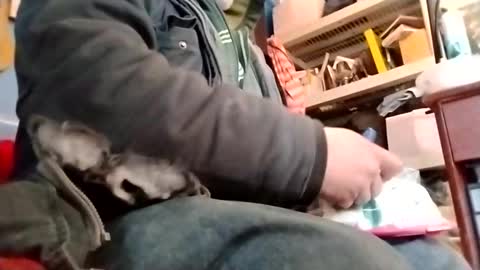 Snapshot of waffywaff77 chatting on 12, 1, 2025 waffywaff77 online show from 12, 1, 2025