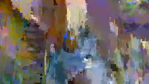 Walter online show from 8, 1, 2025