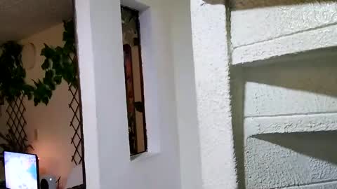 Snapshot of waningrosee chatting on 4, 1, 2025 Waningrose Lu online show from 4, 1, 2025